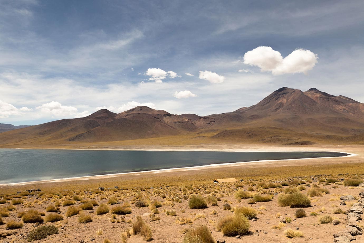 Miscanti泻湖，智利