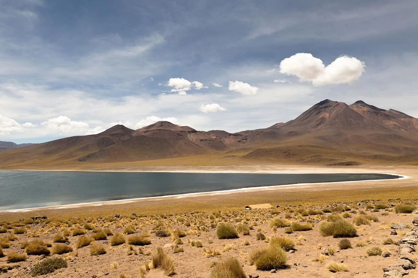 Miscanti湖视图,智利