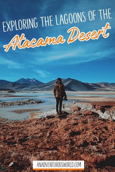 阿塔卡马沙漠之旅
