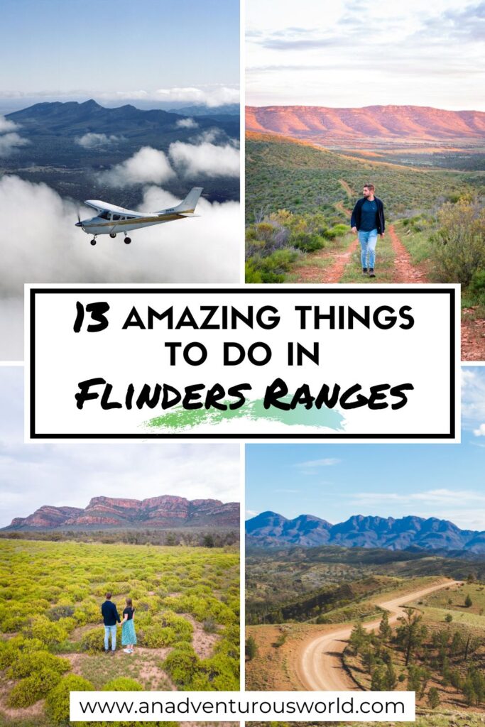 在南澳大利亚弗林德斯山脉必做的13件事