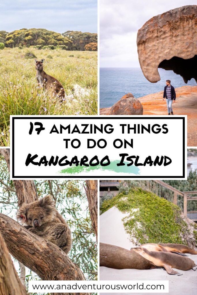 南澳大利亚袋鼠岛的17件事